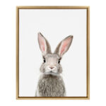 Kiranveer Female Baby Bunny Rabbit by Amy Peterson - Picture Frame Graphic Art Print
