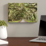 Live Oak Tunnel - Landscapes Framed Wall Art - Image 8