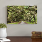 Live Oak Tunnel - Landscapes Framed Wall Art