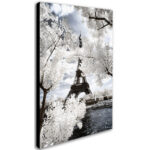 Modern & Contemporary - Image 6