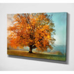 Modern & Contemporary - Image 5