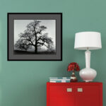 Oak Tree, Sunset City, California, 1962 by Ansel Adams - Picture Frame Graphic Art Print on Paper