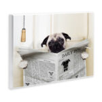 Pug Reading Newspaper in Bathroom - Graphic Art Print