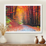 Road In Beautiful Autumn Forest - Photograph Print