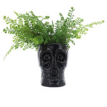 Skull-Shaped Ceramic Vase. - Image 5