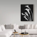 Susan S. Barmon " Calla Lilies 3 Black And White " - Image 4