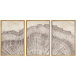Tree Ring Rustic Oak Wood Farmhouse Decor Neutral Modern Organic Framed Canvas 3 Piece Print Art - Image 7