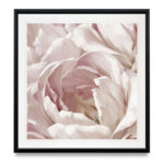 Wallach " Intimate Blush Il " - Image 3