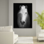 White Horse Face - Wrapped Canvas Photograph Print
