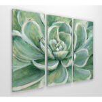 " Succulent " 3 - Pieces - Image 3