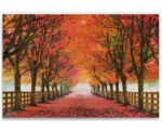 " North Bend Trees " - Image 3