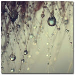 " Forgotten Wishes " by Beata Czyzowska Young - Image 8