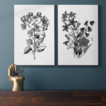 " Botanical Black And White " 2 - Pieces - Image 8