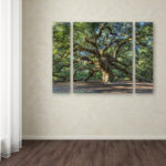 " Angel Oak Charleston " 3 - Pieces - Image 8