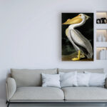 " American White Pelican " by James Audubon - Image 8