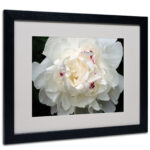 " Perfect Peony " by Kurt Shaffer - Image 7