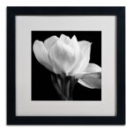 " Gardenia " by Michael Harrison - Image 7