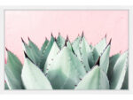 Abdirazaq " Sweet Succulents " by Morgan Hartley - Image 7