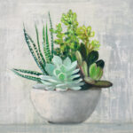 " Succulent Still Life II " by Julia Purinton - Image 4