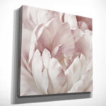 " Intimate Blush Ill " - Image 4