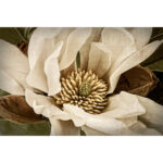 " Classic Magnolia II " - Image 8