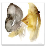 " Calendula I " - Image 7