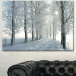 " Winter Trees Backlit By Morning Sun " - Image 5