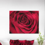 " Red Rose Petals With Rain Droplets " - Image 7